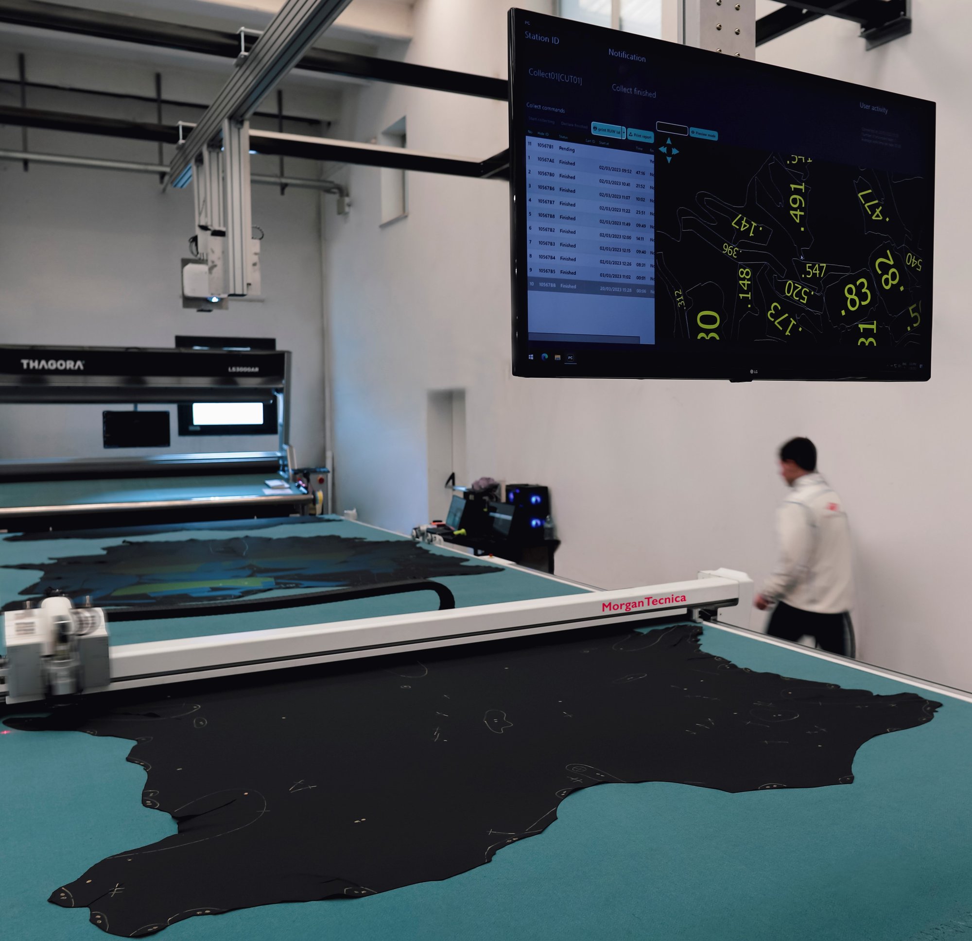 TaghoraMorgan Dem TaghoraMorgan Dem